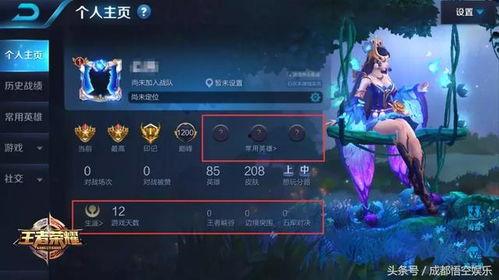 王者之辉最新爆料,揭秘最新爆料,游戏界新篇章即将开启!